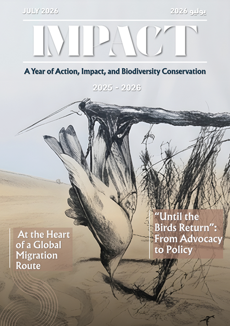 A Year of Action, Impact, and Biodiversity Conservation